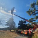 링크(LINK) PC CAFE | 3km 랜선이 필요 없어요, TP-Link CPE710으로 골프장 그늘집 인터넷 하루 만에 해결