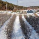 윗말농장 이미지