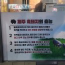 조례원님길 이미지