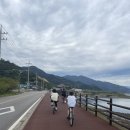 다압면 무료대여소 | 전남 광양 단체 무료 자전거 대여 후기 섬진강 자전거도로 달리기