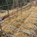 지푸라기농장 이미지