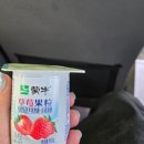 한국민속과자유통 | 상하이 근교 수향마을 우전 1박 (쑤저우에서 우전 이동/동파육맛집 추천/우전홈스테이)