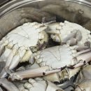 강남대로79길 16 (1) 이미지