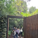 제주기사 | 제주 기사투어 리얼 후기