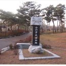 팔탄육교 앞