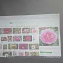 스크린음식점