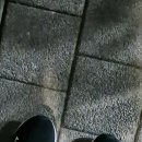 (주)만냥 | 신대방역 맛집 포케에 도른자의 와이스타브 탐방