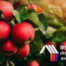 과수원 이미지