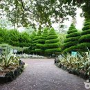 제주공항 현대서비스 이미지