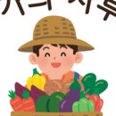 구좌유기농