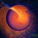 성화공원 이미지