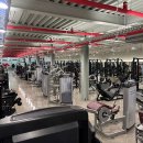 몰리짐 장기점 이미지