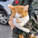 대향산길 이미지