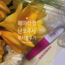 산전검사 부터 페마라정 난포주사 후 임신 - 유산까지 / 페마라정 난포주사 후기