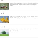 남양종합정비 | 충청남도 논산, 이름의 유래와 역사, 문화유산