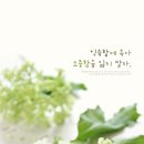 별이랑달이랑 이미지