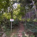 편백숲황토팬션 이미지