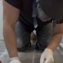 강서구-16 이미지