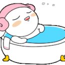 본가발 이미지
