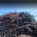 대광자원 이미지