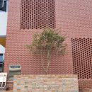 고양이집:고집 이미지