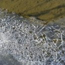 초막골캠핑장(관리소) 이미지