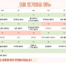 샐러타임 이미지