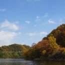 맹동낚시터 이미지