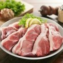 동물병원닥터스 이미지