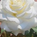 세존산업