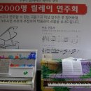 프라움 악기박물관 이미지