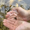 각흘계곡캠핑장 이미지