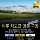디 아넥스 이미지