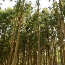 서삼면주민자치센터 이미지