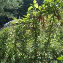 주천 여인숙 티스토리