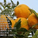 하모니카성가모음1/ hymn collect songs no1 이미지