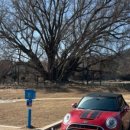 유 카워시 이미지