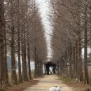 충남 태안 청산수목원 반려견 동반 후기