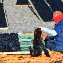 기성어촌체험휴양마을 이미지