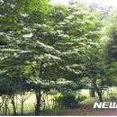 자연휴양림 관리사무소 이미지