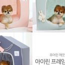 따스하개 네이버블로그