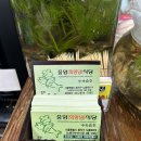 노량진 물회 / 노량진수산시장 물회 해태기아 내돈내산 후기