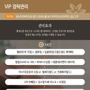 피우다 꽃 스킨바디 이미지