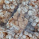 송서방견과류 이미지