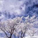 참좋은동물병원 이미지