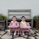모아기전