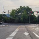 금봉대로 이미지