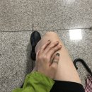 라비데마히 | 190727 연남동 샐러드브라더스, 홍대 라비데마히, 모리츠 플라츠