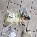 애니카랜드 만수점 이미지