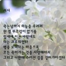 협회장과 사무국장은 사과하고 사죄하라! 석고대죄하라! 이미지